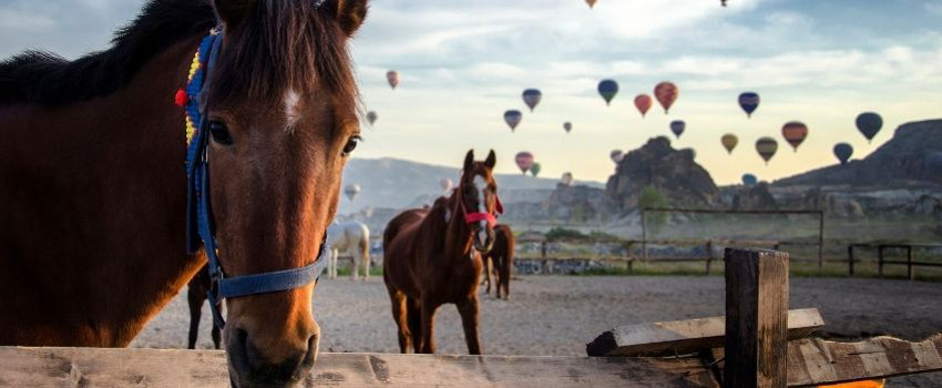 kapadokya-sorulari (5).jpg